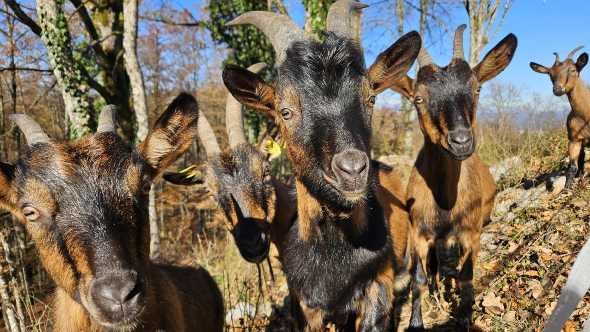 576232476_122147091458884721_6198089551730371548_n