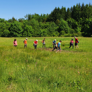 300x300px doživetja (2)